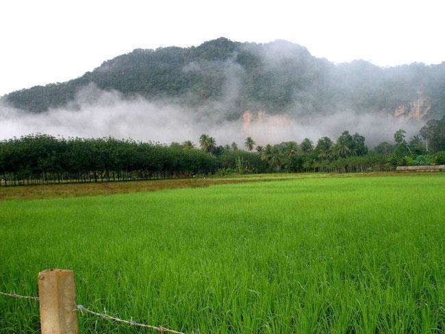 Naris Phuview Resort Satun Buitenkant foto